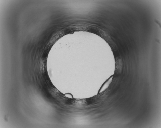 X0000102270333200808221443