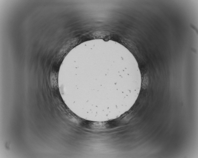 X0000102270335200808221443