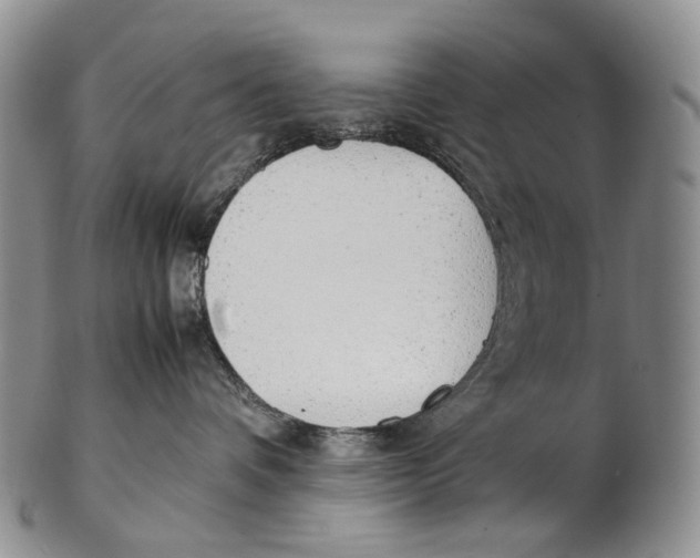 X0000102270336200808221443