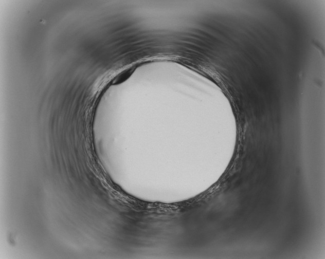 X0000102270337200808221442