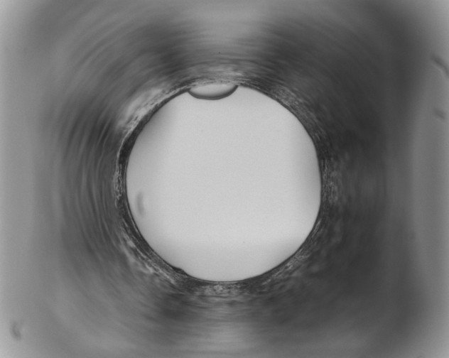 X0000102270338200808221442