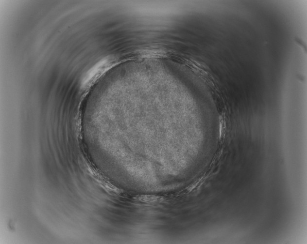 X0000102270339200808221442