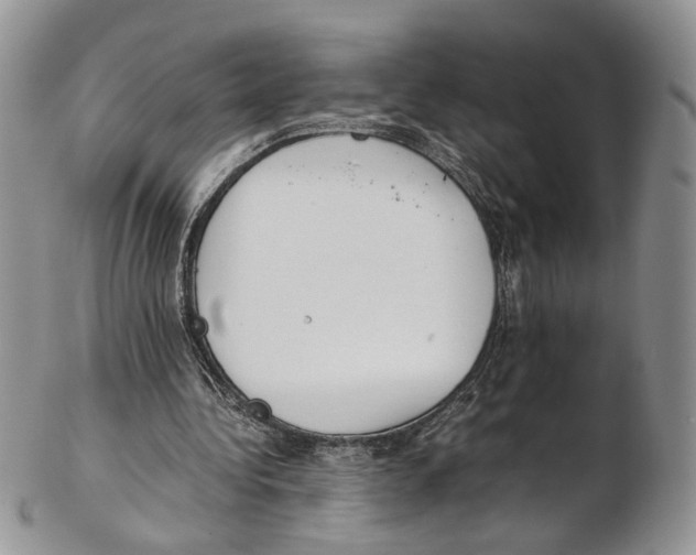 X0000102270340200808221442