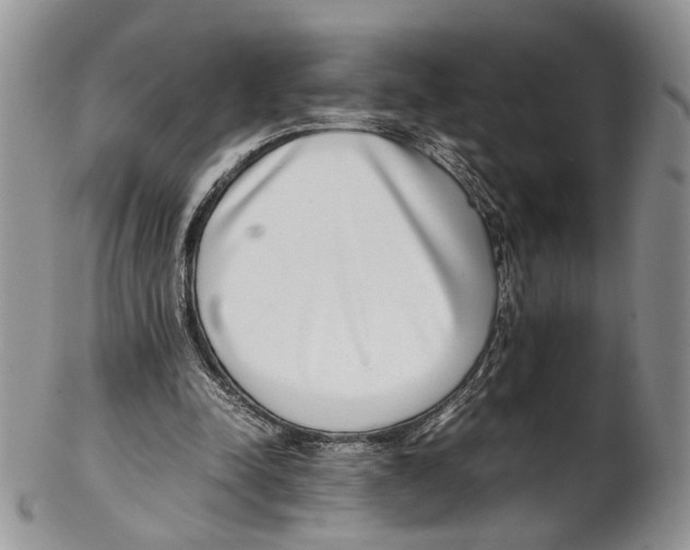X0000102270342200808221442