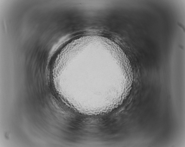X0000102270343200808221442