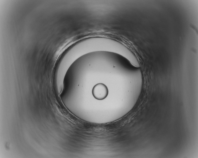 X0000102270344200808221442