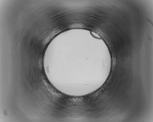X0000102270345200808221442