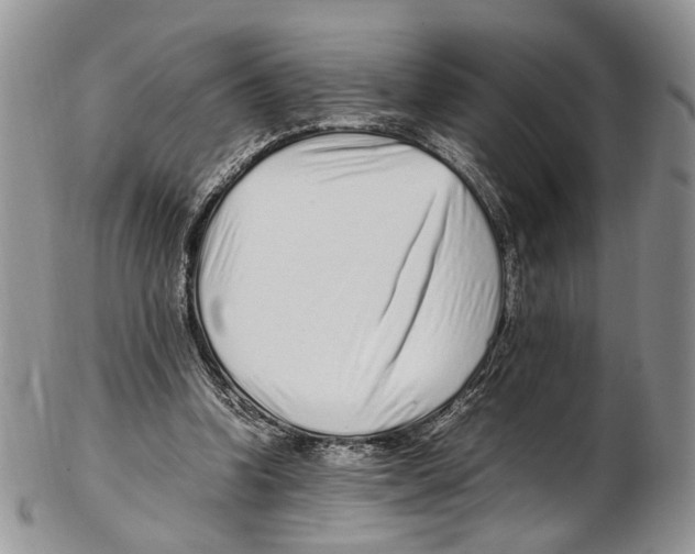X0000102270346200808221442