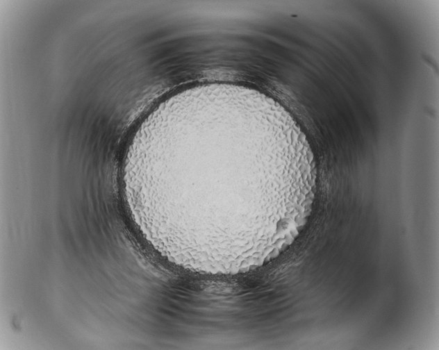 X0000102270347200808221442