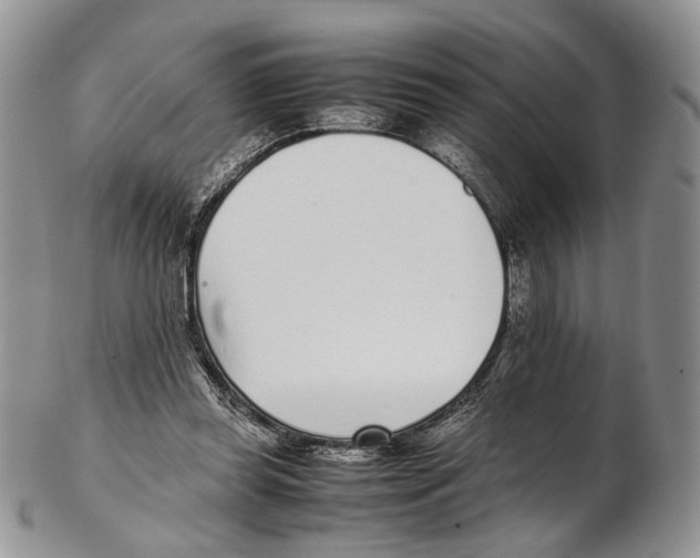 X0000102270349200808221442