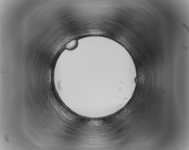 X0000102270350200808221442
