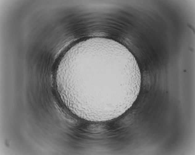 X0000102270351200808221442