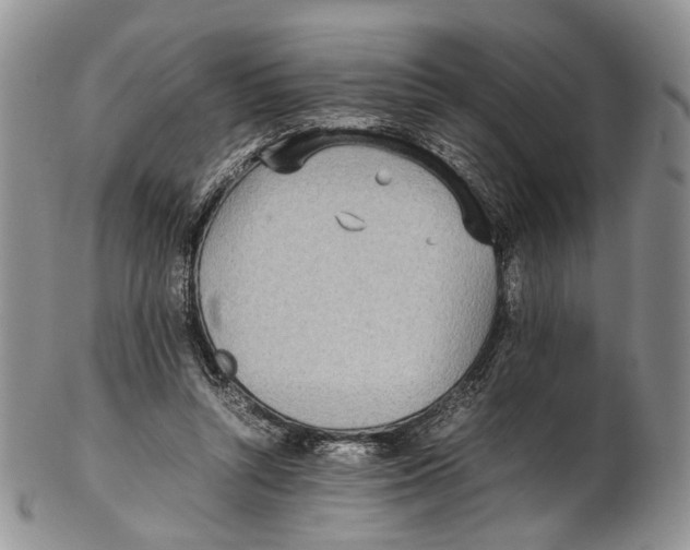 X0000102270352200808221443