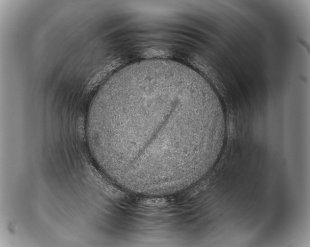 X0000102270353200808221443