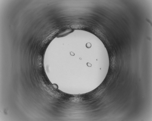 X0000102270356200808221443