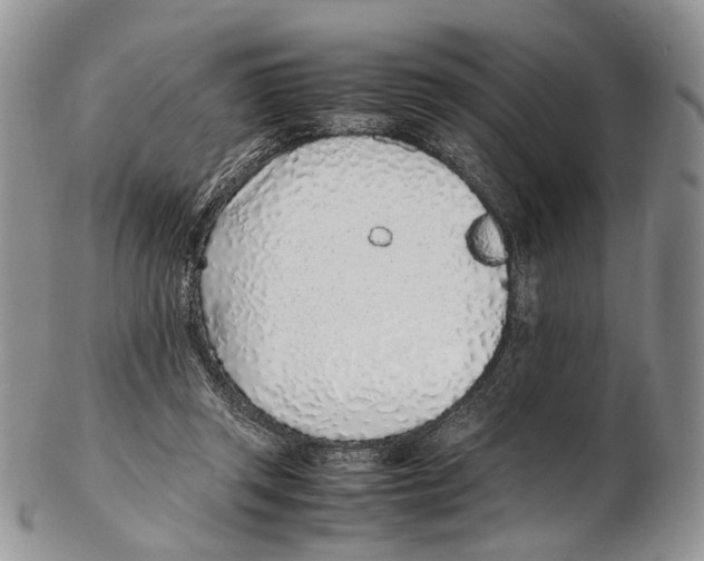 X0000102270357200808221443