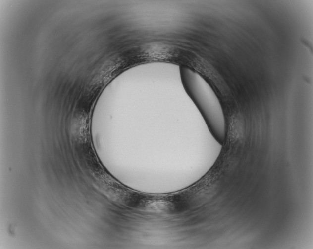 X0000102270360200808221443