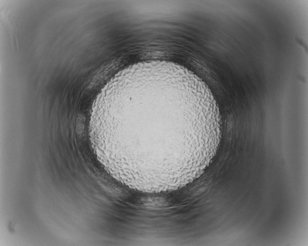 X0000102270361200808221443