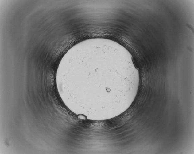 X0000102270362200808221443