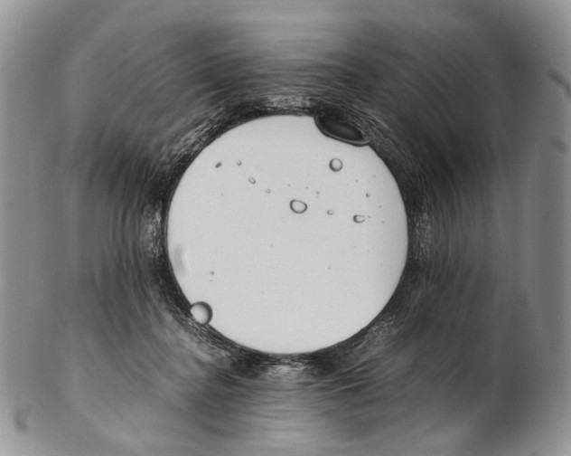 X0000102270364200808221443