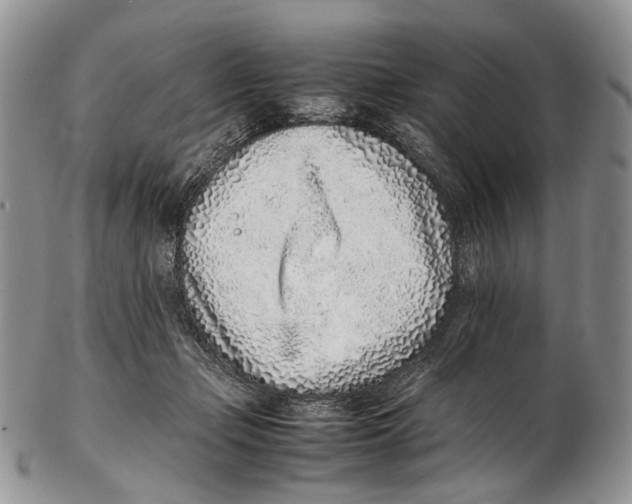 X0000102270365200808221443