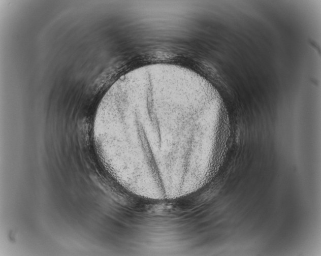 X0000102270366200808221443