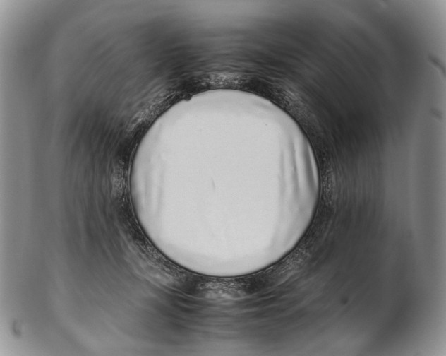 X0000102270367200808221443