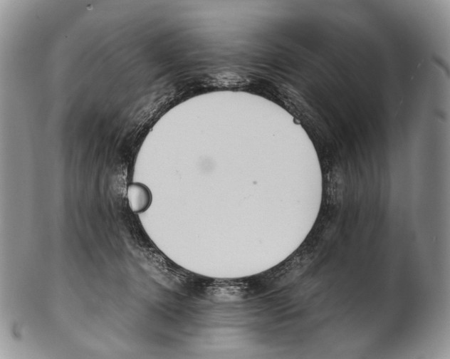 X0000102270368200808221443