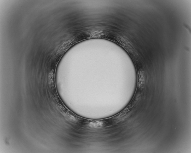 X0000102270369200808221443