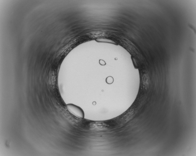 X0000102270372200808221443