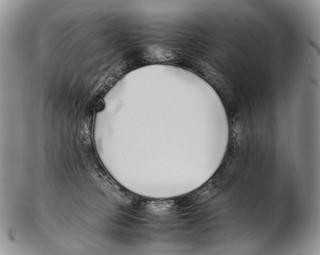 X0000102270373200808221443