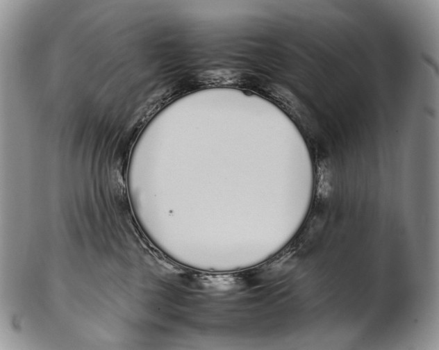 X0000102270377200808221443
