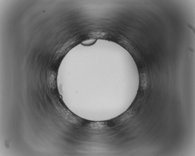 X0000102270378200808221443