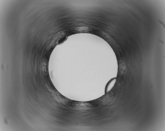 X0000102270379200808221443