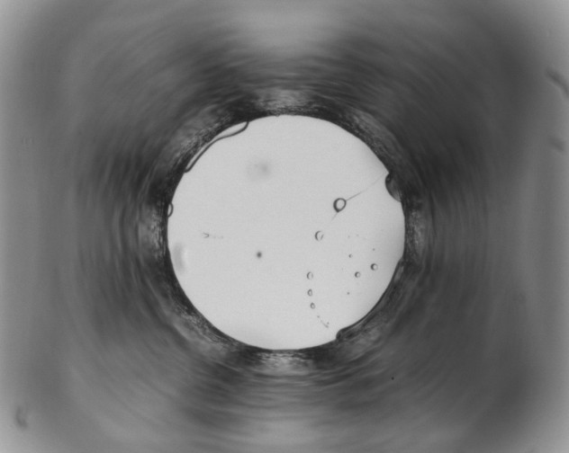 X0000102270380200808221443