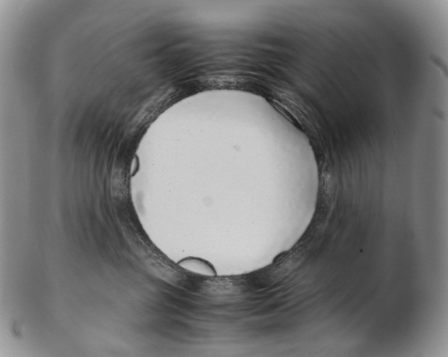 X0000102270381200808221443