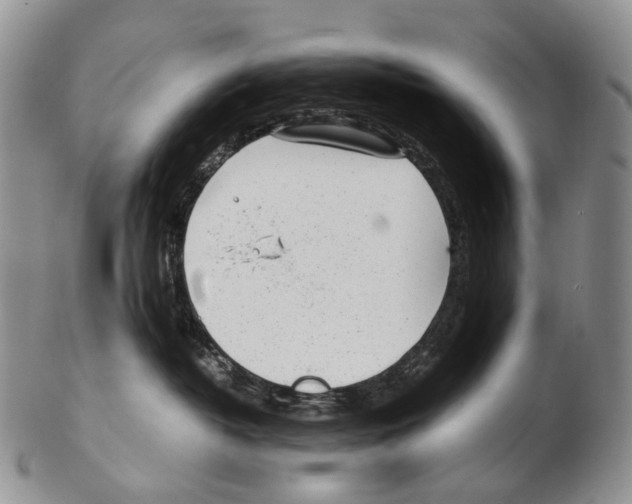 X0000102270382200808221443