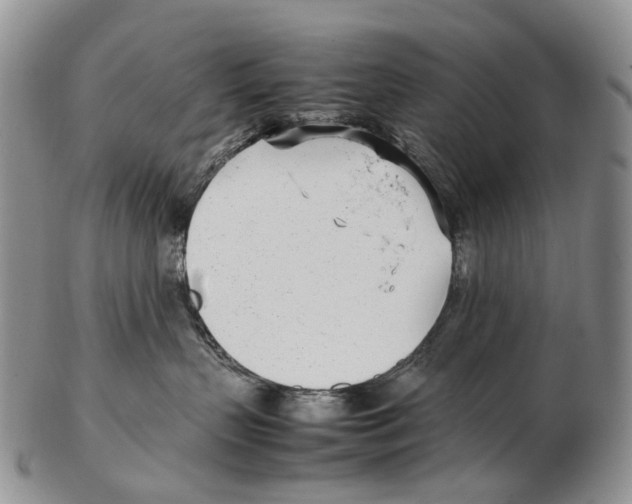 X0000102270383200808221443