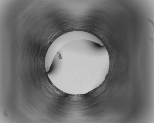X0000102270384200808221443