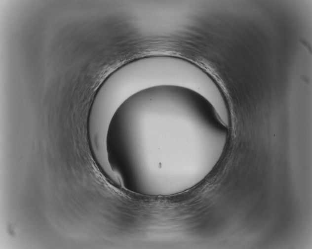 X0000102270385200808221442