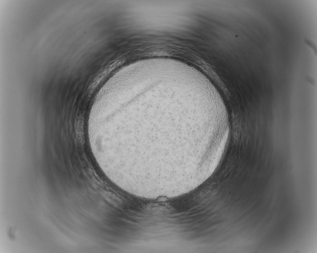 X0000102270386200808221442