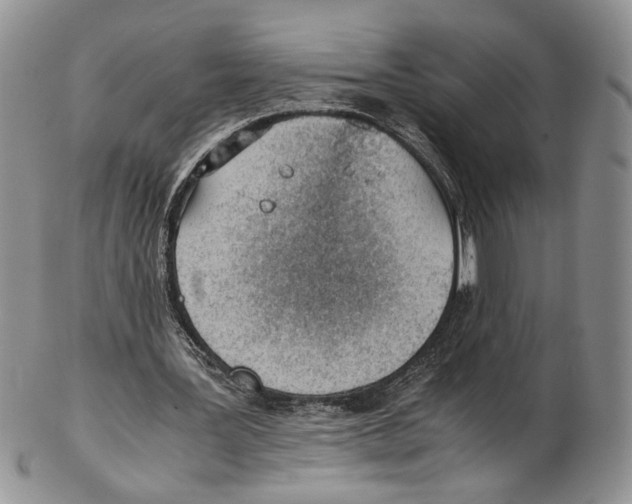 X0000102270387200808221442