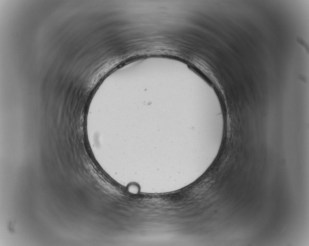 X0000102270389200808221442