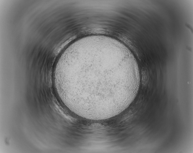 X0000102270390200808221442