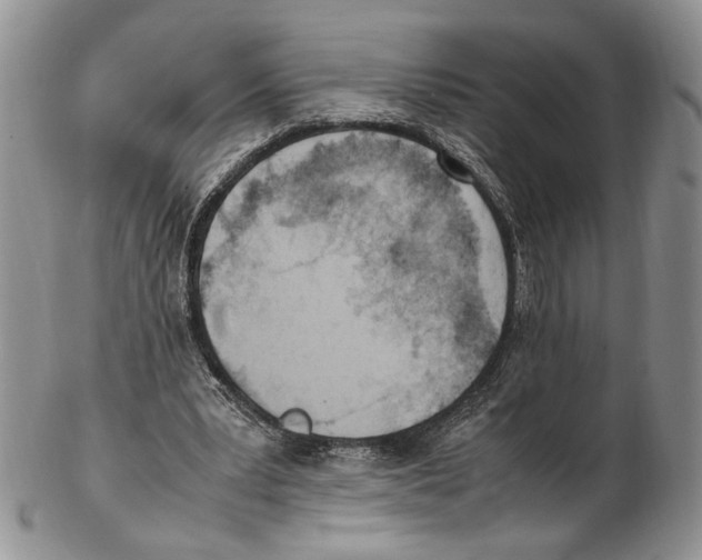 X0000102270391200808221442