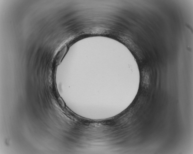 X0000102270392200808221442