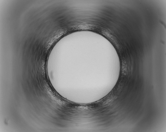 X0000102270394200808221442