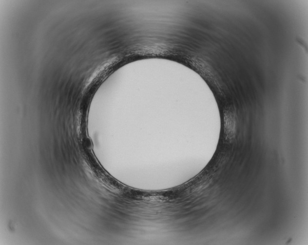 X0000102270396200808221442