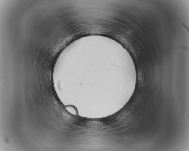 X0000102270397200808221442