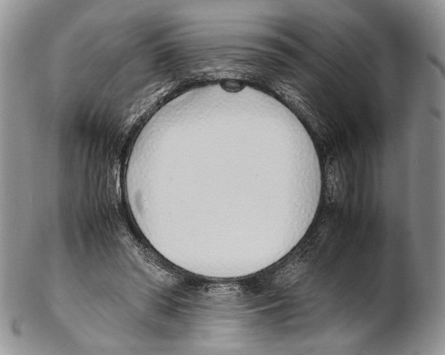 X0000102270398200808221442